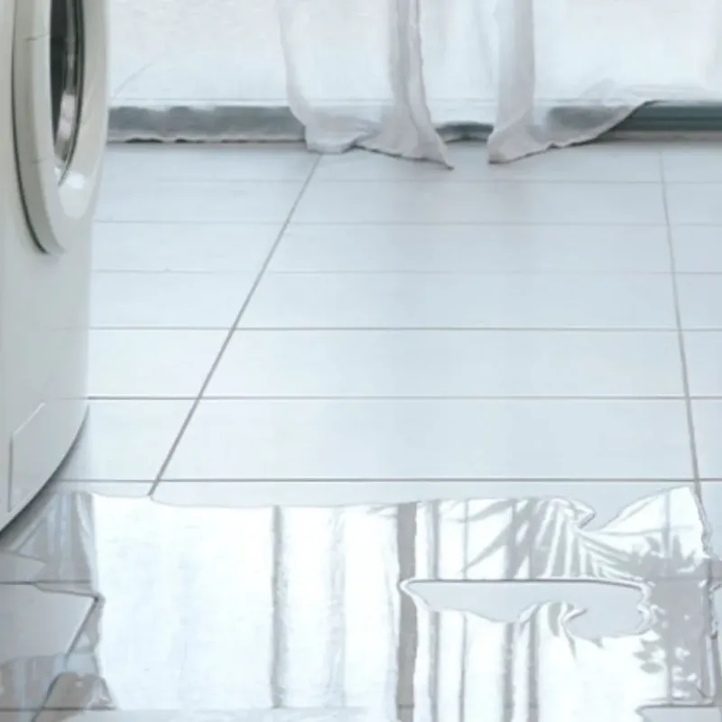 Appliance Leak Cleanup in Metropolis, IL