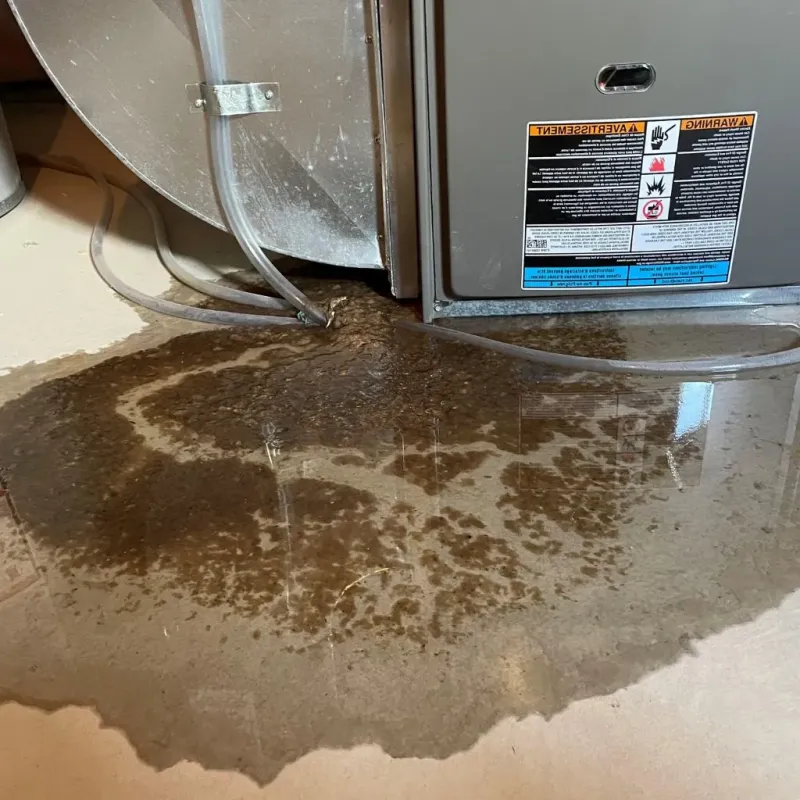 Pipe Burst and Leak Restoration in Metropolis, IL