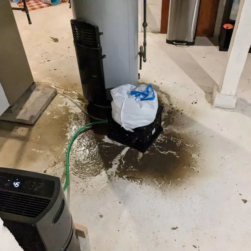 Sewage Backup Cleanup Service in Metropolis, IL